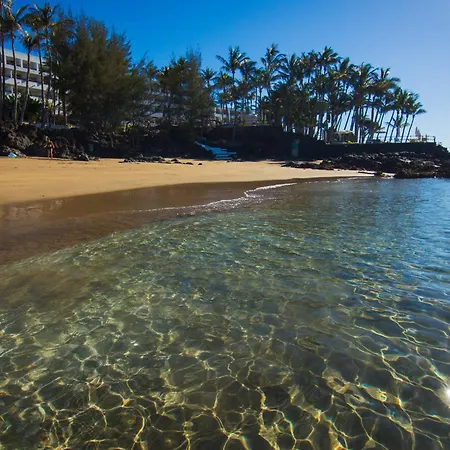 El Palmeral - Ferienhaus Puerto del Carmen (Lanzarote)